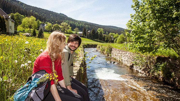 Kammweg Rittersgrün 4209 TV Erzgebirge R.Gaens.jpg