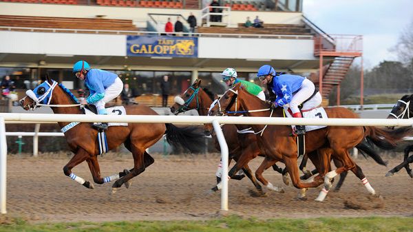 Svensk Galopp effektiviserar verksamheten
