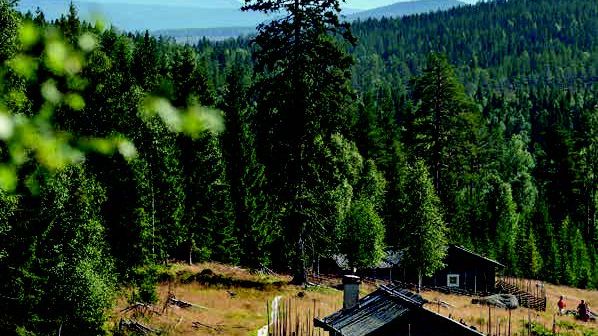 Utflyktsguide med natur- och kulturupplevelser för den som vill semestra på hemmaplan