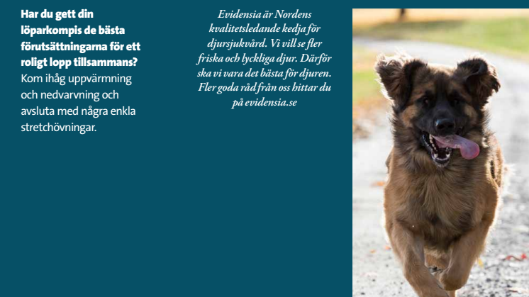 Stretching för hund