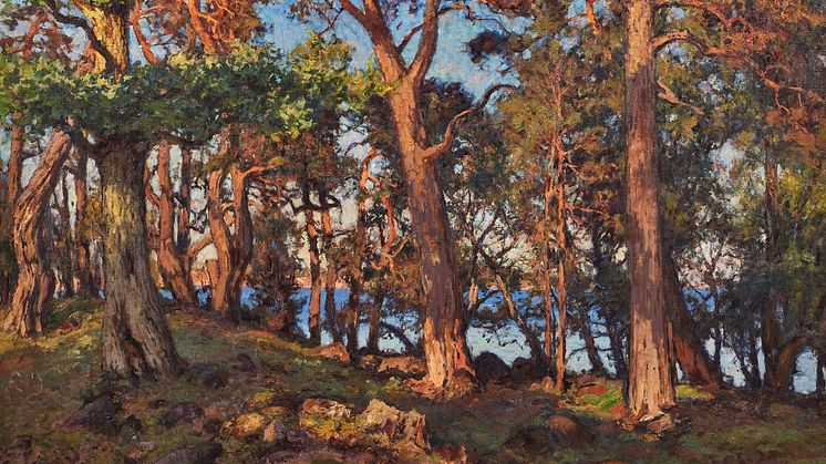 Utsnitt ur "Sommarafton på en skärgårdsö” av Gottfrid Kallstenius.