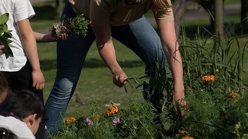 Pressinbjudan: Ekologiska vårlökar planteras i barnens rabatt i Stadsparken imorgon