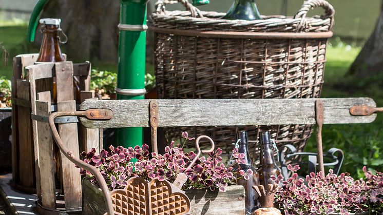 Idylle in der gotländischen Stadt Visby