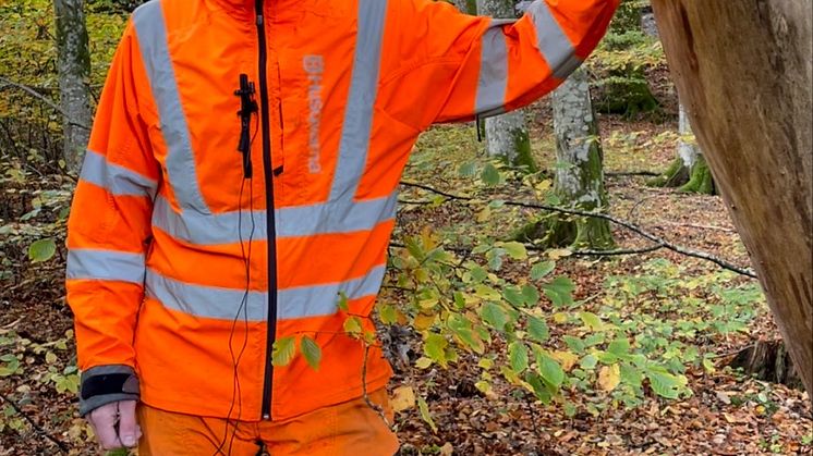 En vanlig fågel stannar Sverige