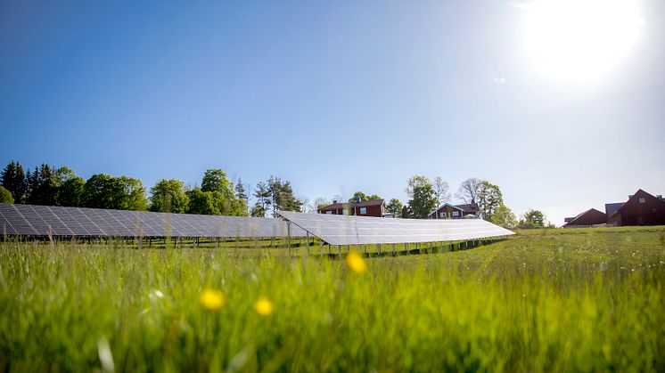 Solhagen i Torphyttan, Örebro läns största markförlagda solpark. Foto: Linde energi