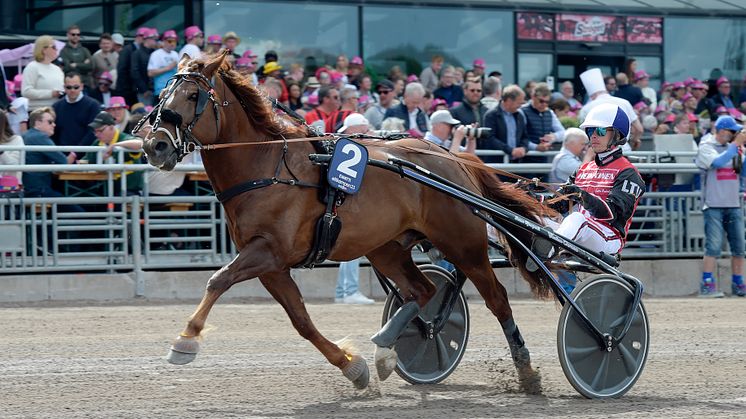 Titelförsvararen Evartti är klar för Elitkampen 2024. Foto: TR Bild