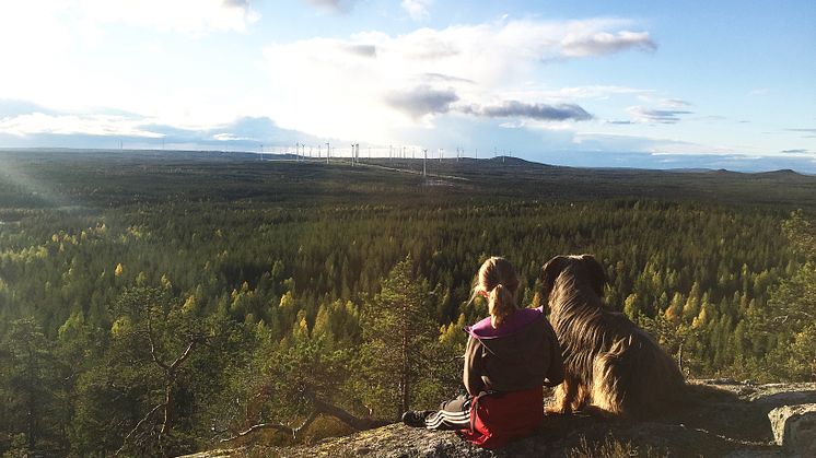 tjej_skog_vindkraft