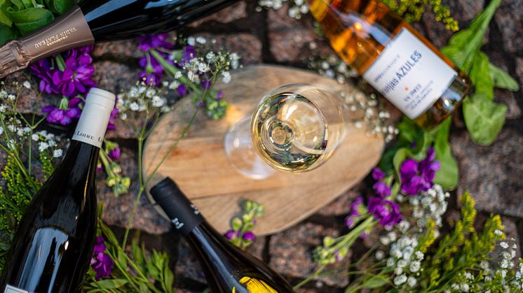 NOFO Wine Bar inviger innergården med vinfestival 