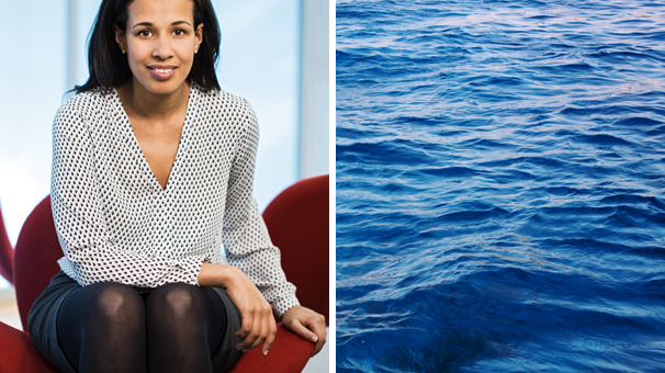 ​SPP lanserar vattenfond - Parvest Aqua