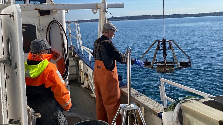 Provtagning i kustkontrollprogrammet våren 2021. Foto: Helsingborgs stad