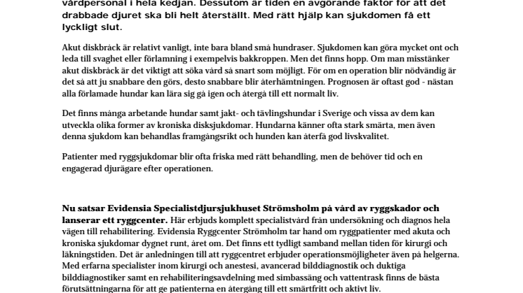 Rätt hjälp räddar husdjur med ryggskador