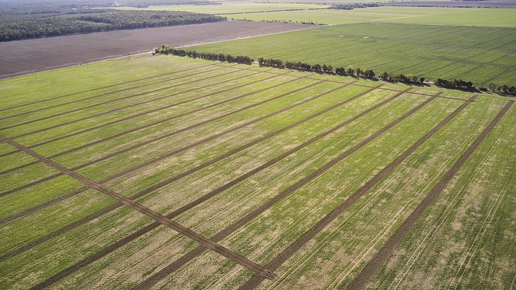 DLG Test Tractors with CEMOS