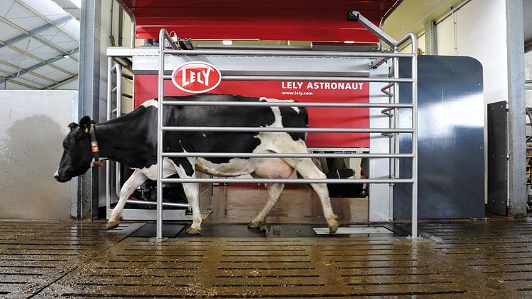 Fjøssystemer har solgt ca. 800 melkeroboter i Norge