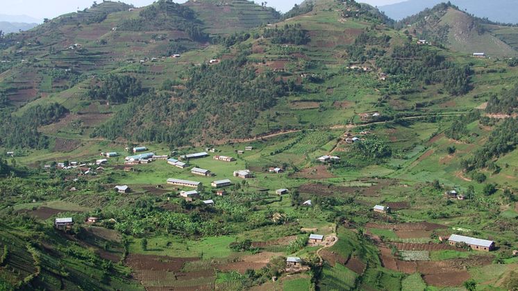 Vy över Virunga-bergen i Uganda. Foto: Achim Prill / Mostphotos