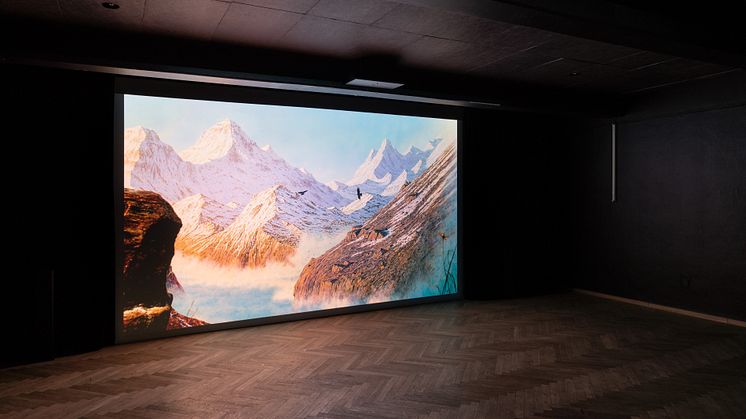 Mathieu J. H. Hansen, La Cinquième Saison / The Fifth Season (2021)