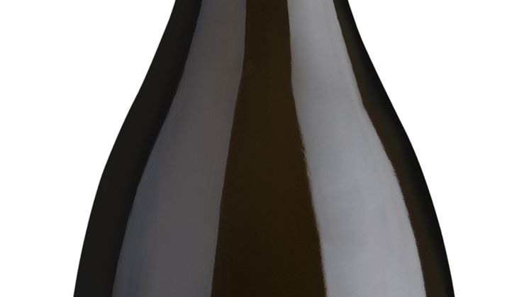Tommasi Filodora Prosecco
