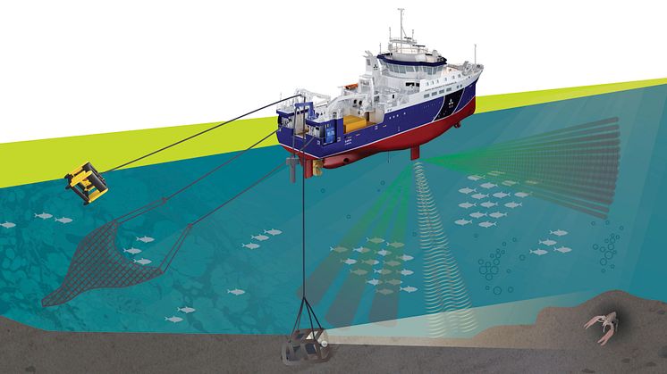 Illustration av R/V Svea, högupplösta bilder finns på SLUs bildbank, slu.se/bildbank.