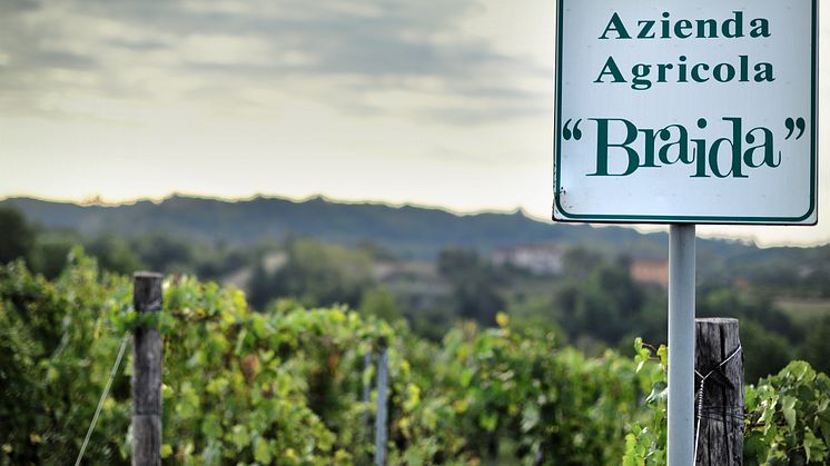 braida azienda agricola.jpg