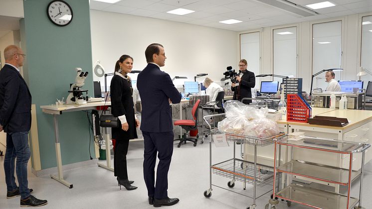 KRPP-lasarettet-laboratoriet4-hogupplost.jpg