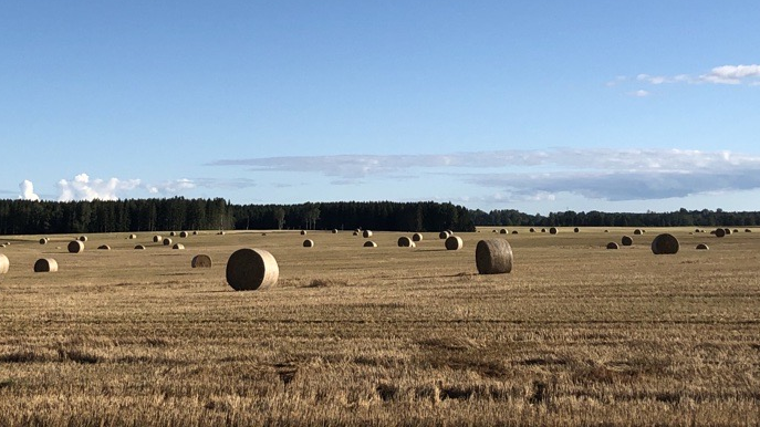 Erik från Kil är föreslagen som ny regionordförande i LRF Värmland!