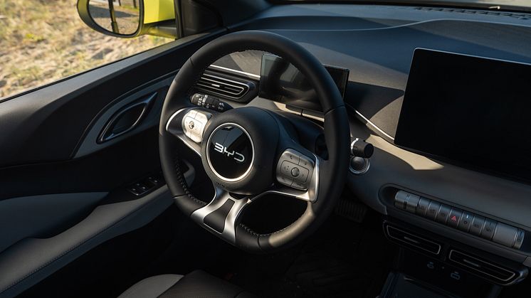 BYD Dolphin Surf Highres-30.jpg