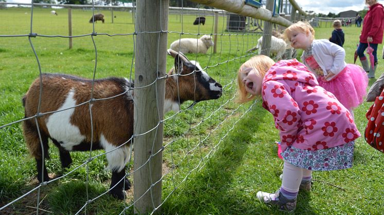 Children at Hatfield Park Farm