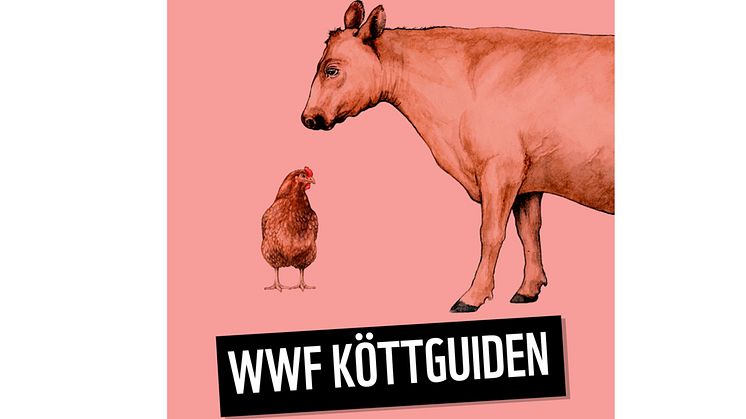 Endast KRAV-märkt kyckling får grönt i WWF:s Köttguide