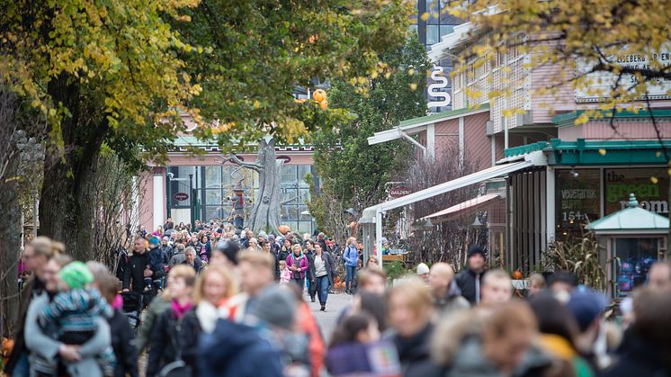 Stort intresse för Halloween på Liseberg