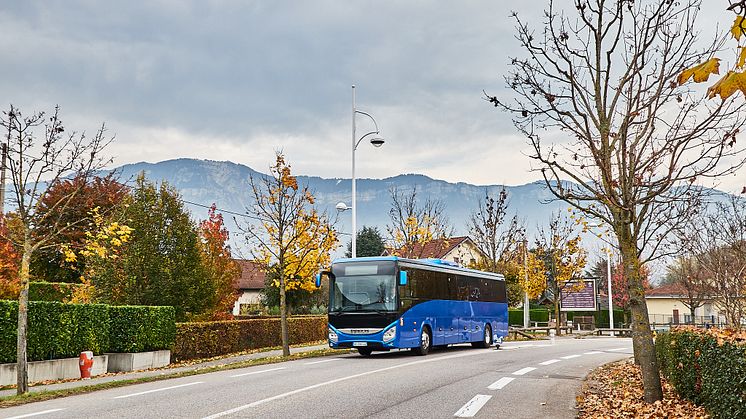 IVECO EVADYS BUSS