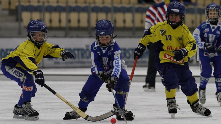 Friends medverkar när Bandy-VM sätter tryggheten i fokus