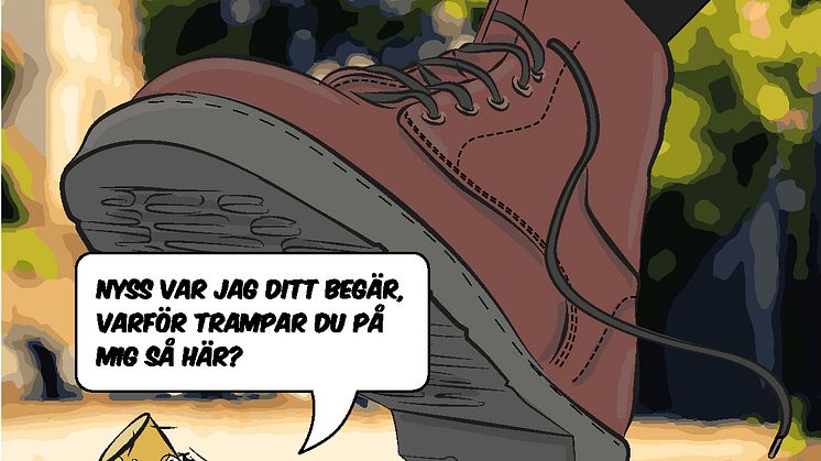Cigge trampad på.jpg