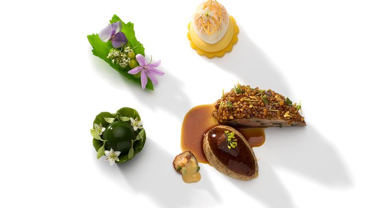Bocuse D'or Europe 2020 Vaktel 