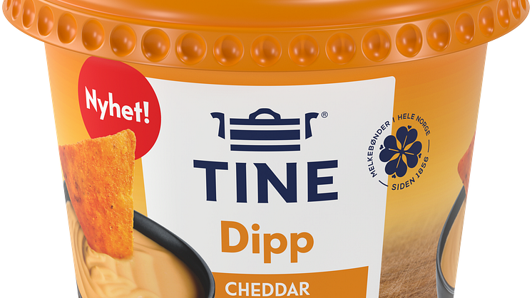 7038010070655-Dipp_Cheddar-1C