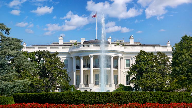  COMMENT: Why the Republicans' know-nothing outsider candidates are still on top