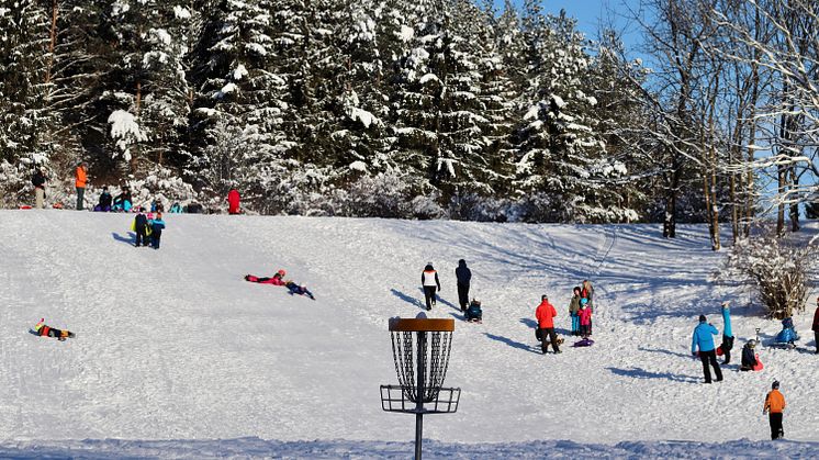 Vinter i Järva DiscGolfPark. Så kallade begravningsöar ska byggas direkt ovanför och under pulkabacken enligt stadens plan.