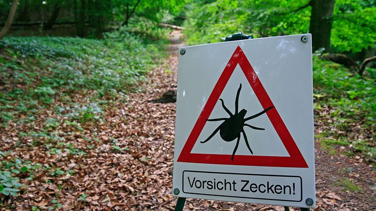 Zecken