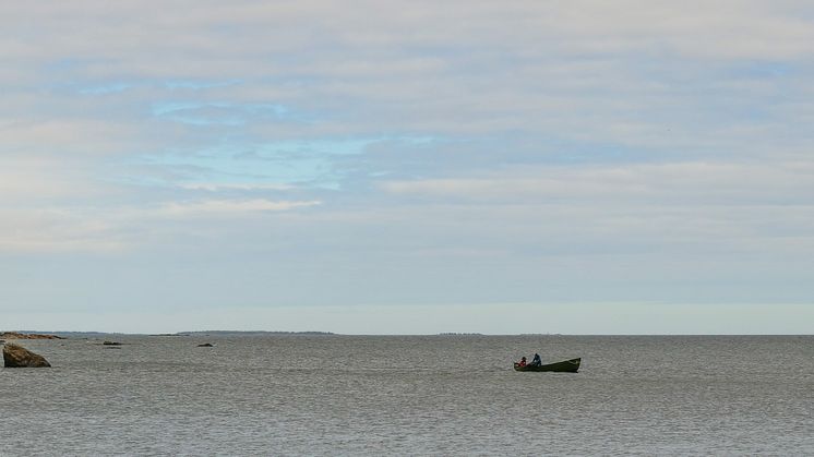 Fiskereglerna för kusten kontrolleras