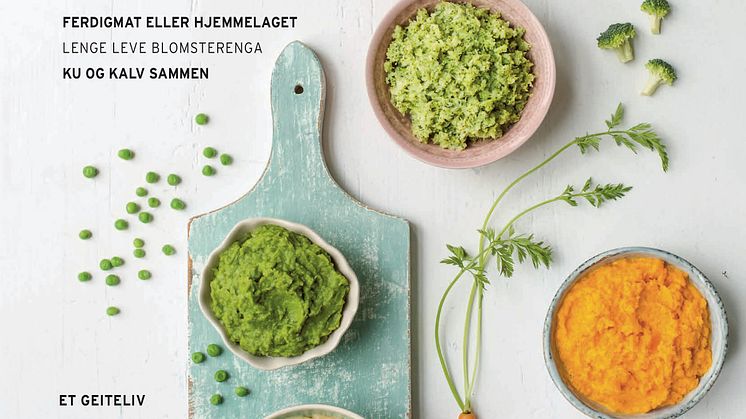 Bare barnemat? Sommerutgaven av Ren Mat. Foto: Nadin Martinuzzi