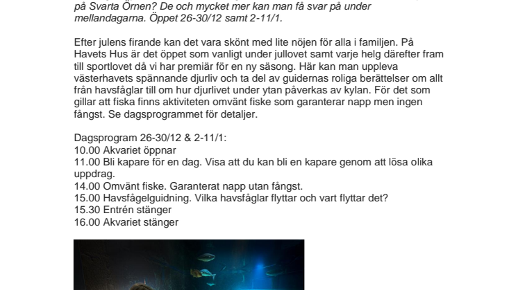 Jullov på Havets Hus