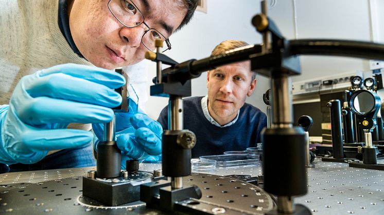 Shangzhi Chen, doktorand, och Magnus Jonsson, forskningsledare inom organisk fotonik och nano-optik, Laboratoriet för organisk elektronik. 
