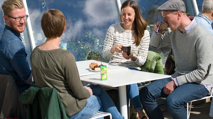 Fika i Östergötland