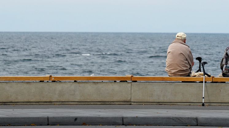 Almedalen 2014: Hur bra är den nordiska modellen? 