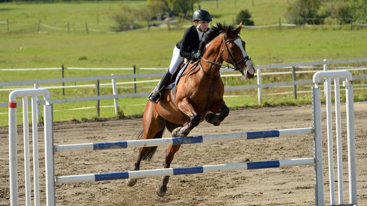 Titania Cup avslutad efter lyckad säsong
