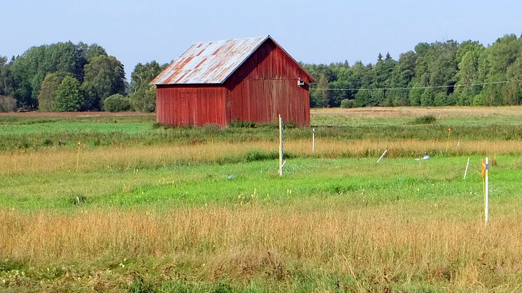 Vital soil saving techniques being trialled