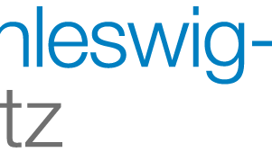 SHNetz_Logo_Office.png