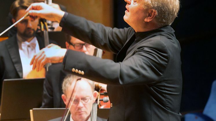karl-heinz-Steffens_franck_son