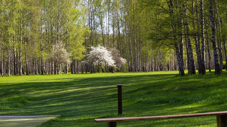 Vår i Järva DiscGolfPark