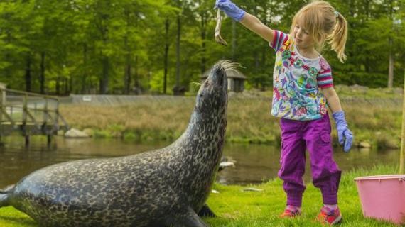 Skånes Djurpark förväntas bli Skånes största turistmagnet 2016