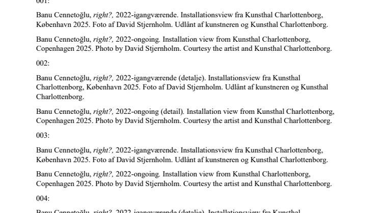 KC_credits_BEING SAFE IS SCARY.pdf