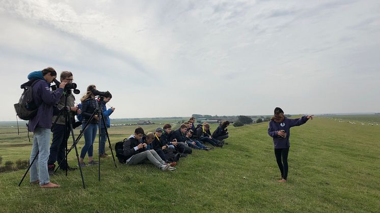 Westerhever.JPG